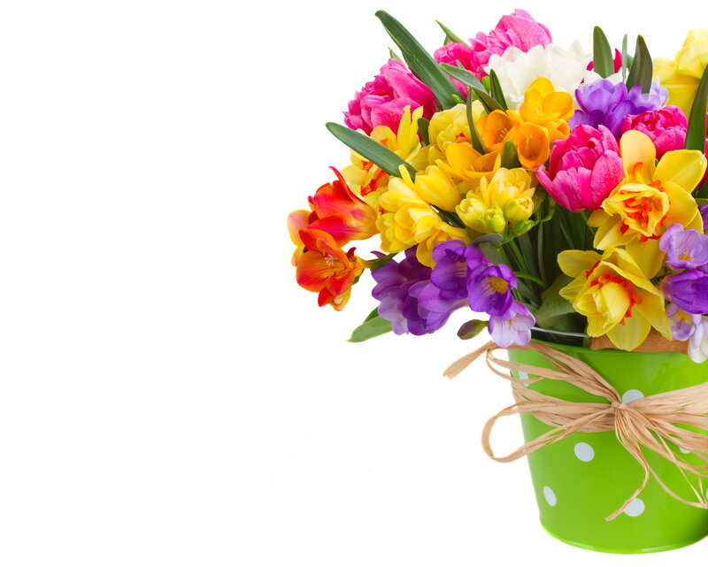 Colorful Flower Bouquet — Green, Vibrant, Spring