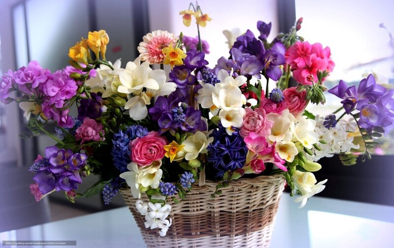 Colorful flower bouquet in basket