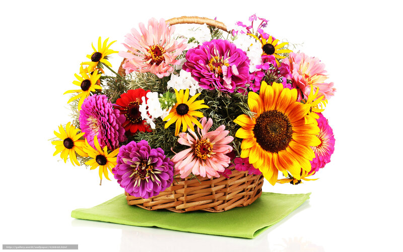 Colorful flower bouquet in basket