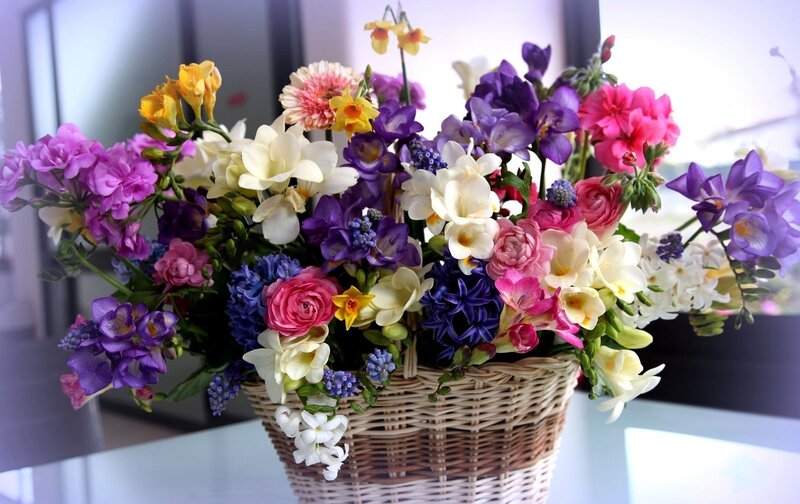 Colorful flower bouquet in basket