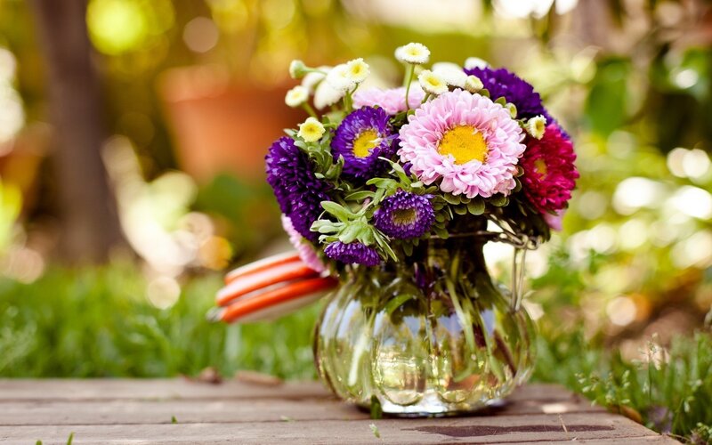 Colorful flower bouquet in garden