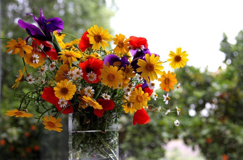 Colorful flower bouquet in vase