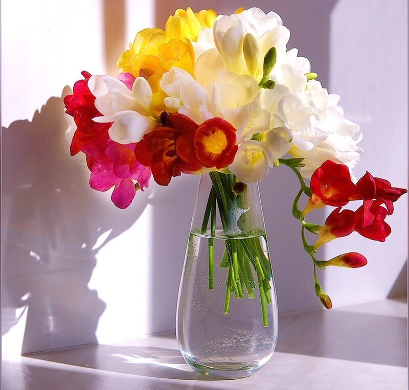 Colorful flower bouquet in vase