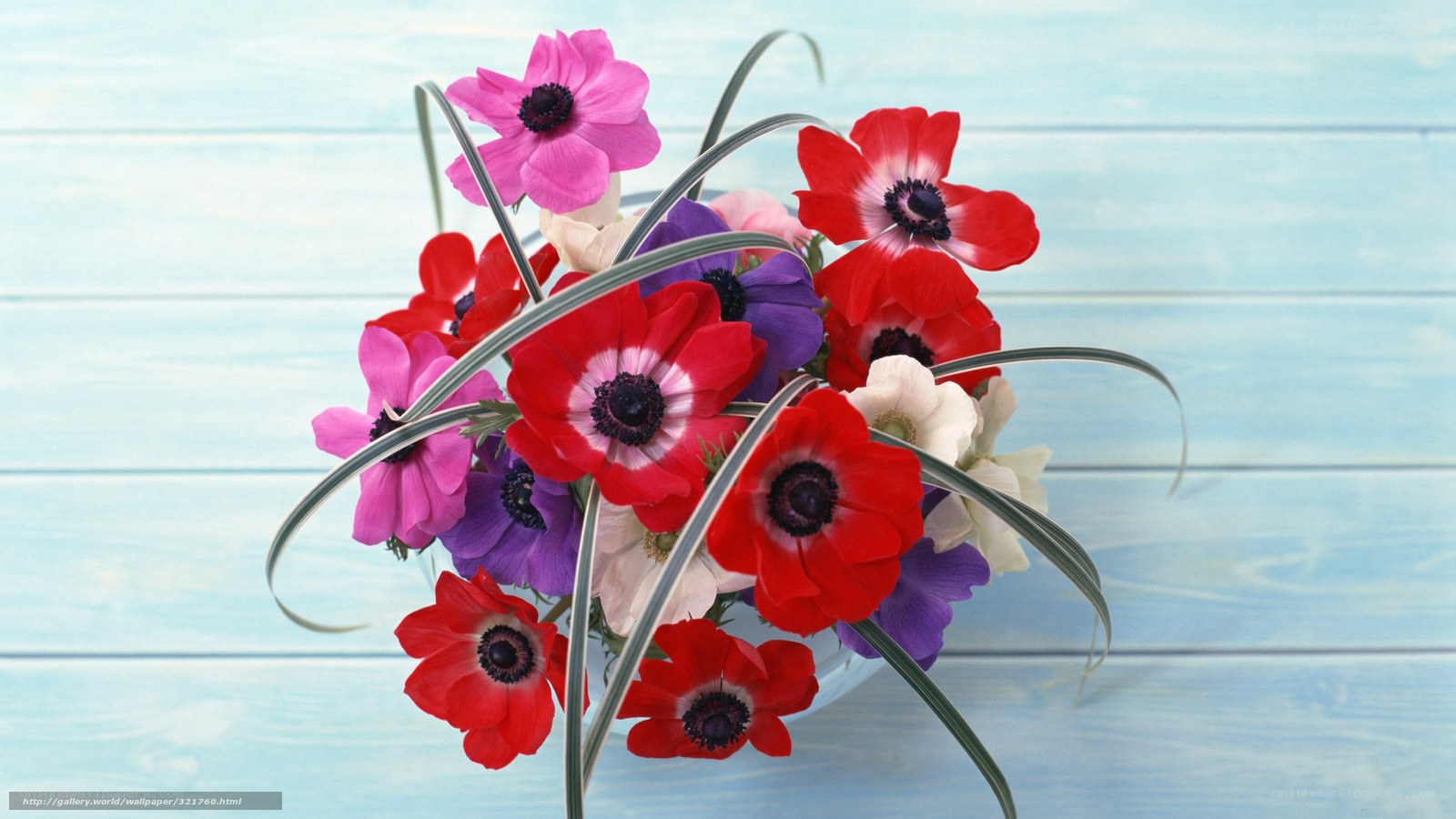 Colorful flower bouquet on blue wood