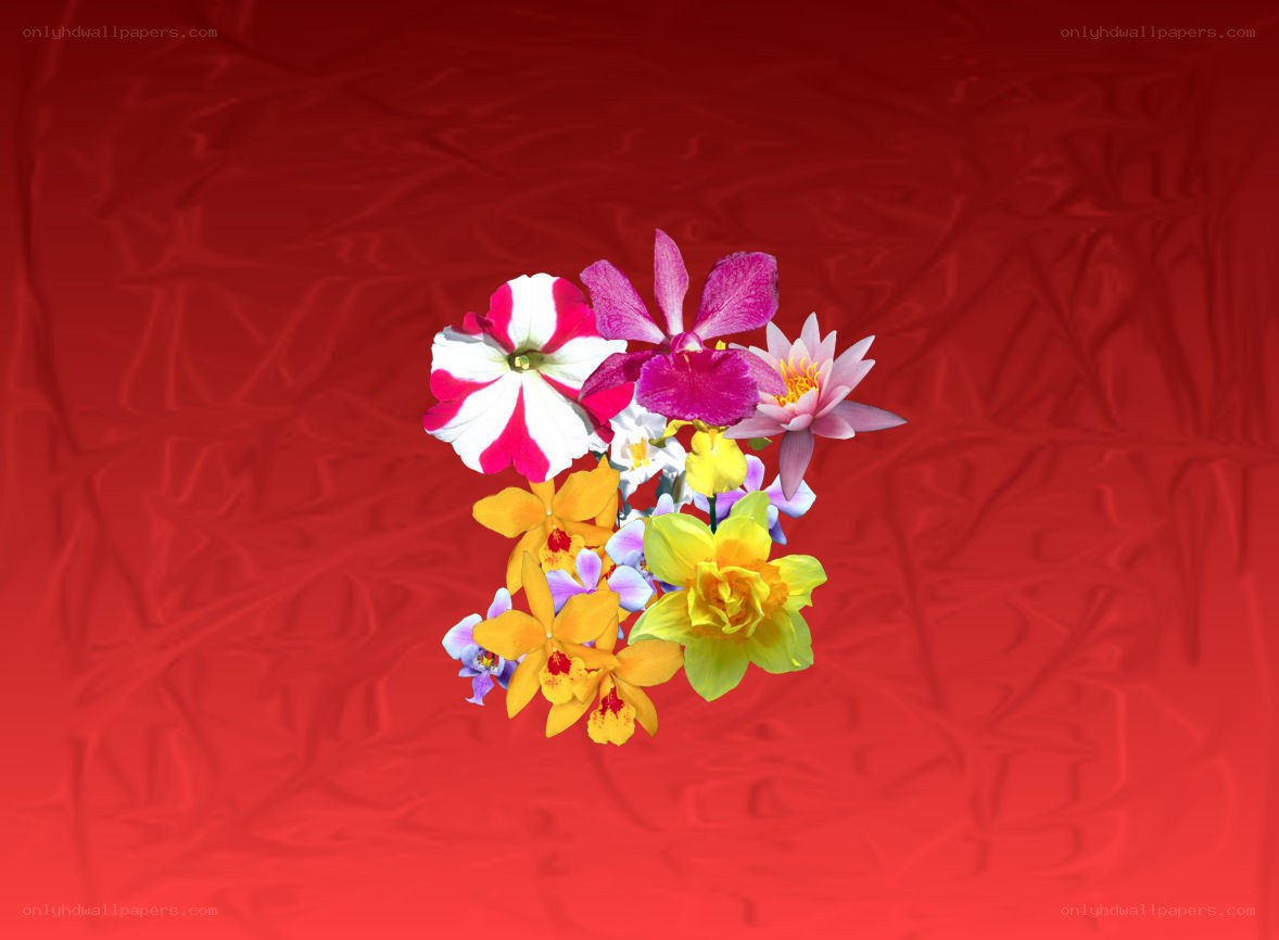 Colorful flower bouquet on red