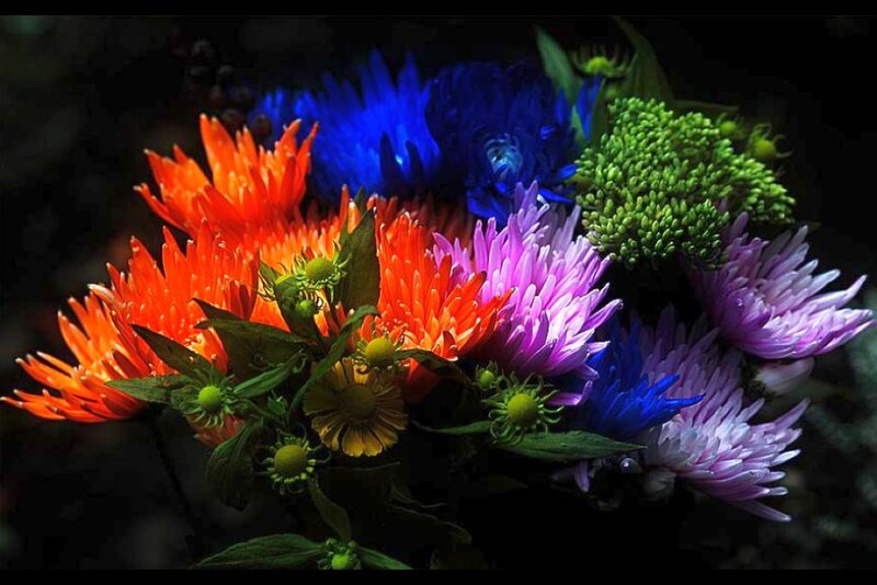 Colorful Flower Bouquet — Orange