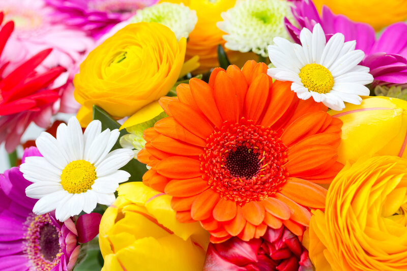 Colorful Flower Bouquet — Orange, Vibrant, Photograph, Daisies