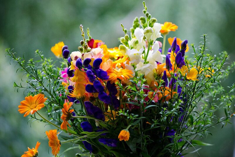 Colorful Flower Bouquet — Orange, Vibrant, Spring