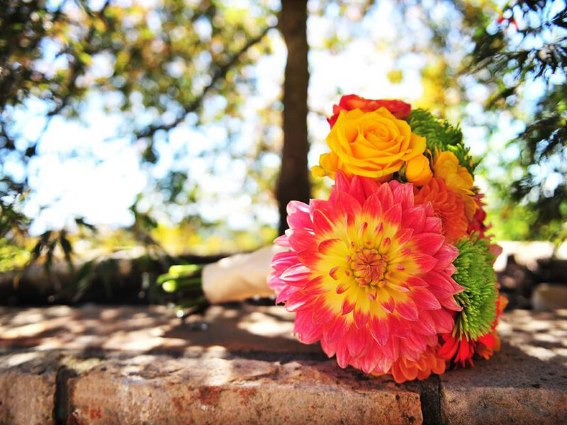 Colorful Flower Bouquet — Pink, Bright, Afternoon, Photograph