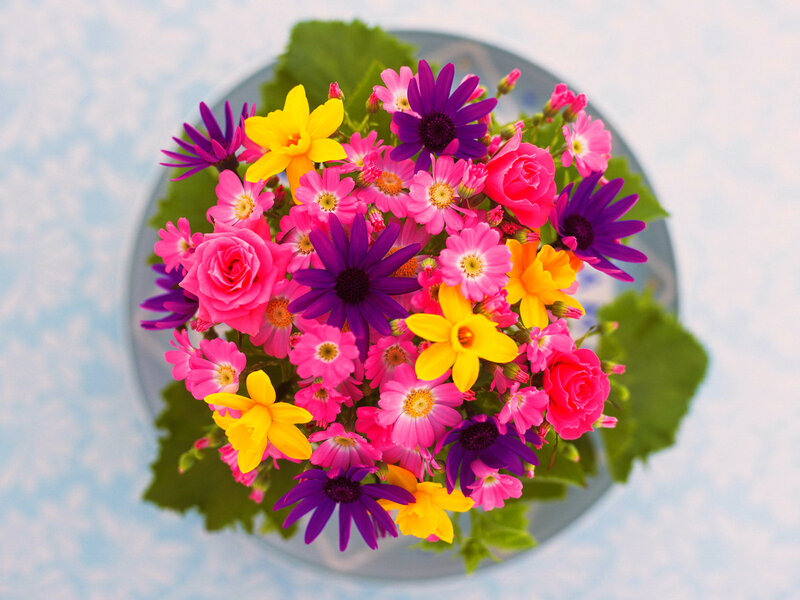 Colorful Flower Bouquet — Pink, Bright, Spring