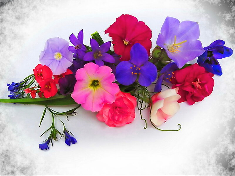 Colorful Flower Bouquet — Pink, Calm, Photograph, Flowers