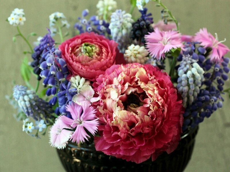Colorful Flower Bouquet — Pink, Calm, Spring
