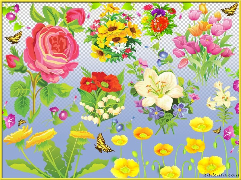 Colorful Flower Bouquet — Pink, Cheerful