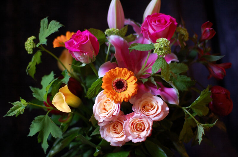 Colorful Flower Bouquet — Pink, Dramatic, Photograph