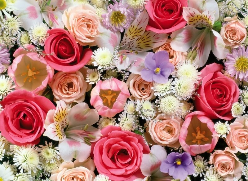 Colorful Flower Bouquet — Pink, Festive, Photograph