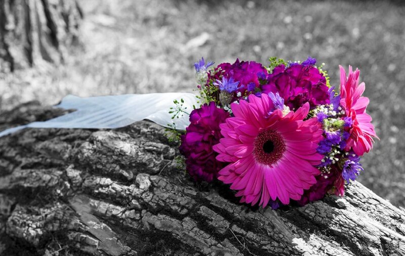 Colorful Flower Bouquet — Pink, Serene, Photograph