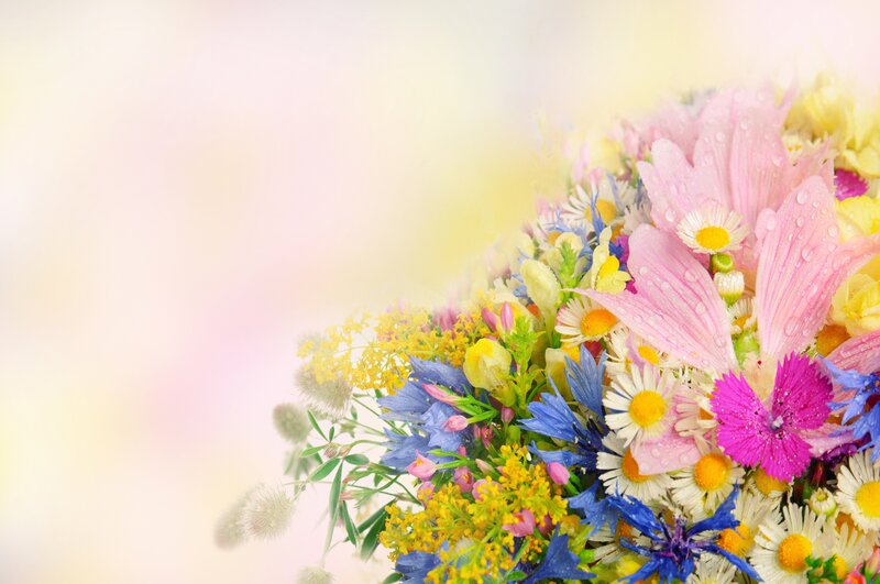Colorful Flower Bouquet — Pink, Serene, Spring