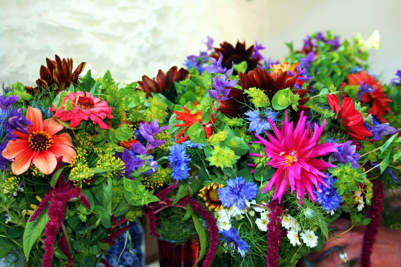 Colorful Flower Bouquet — Pink, Vibrant, Afternoon, Photograph, Flowers