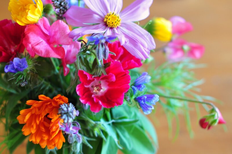 Colorful Flower Bouquet — Pink, Vibrant, Photograph