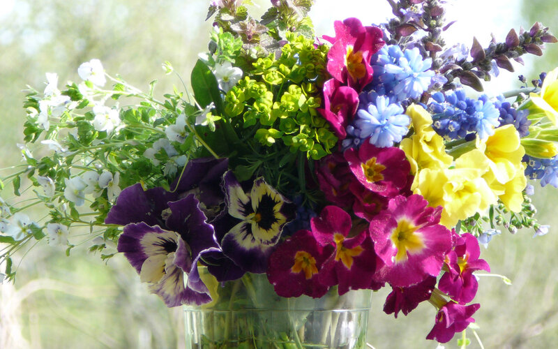 Colorful Flower Bouquet — Purple, Bright, Spring