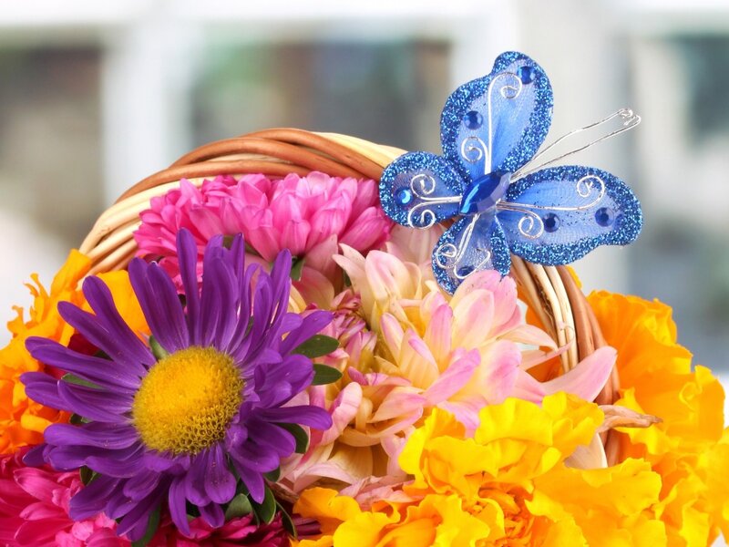 Colorful Flower Bouquet — Purple, Bright
