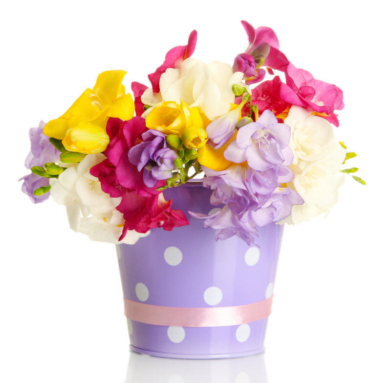 Colorful Flower Bouquet — Purple, Cheerful