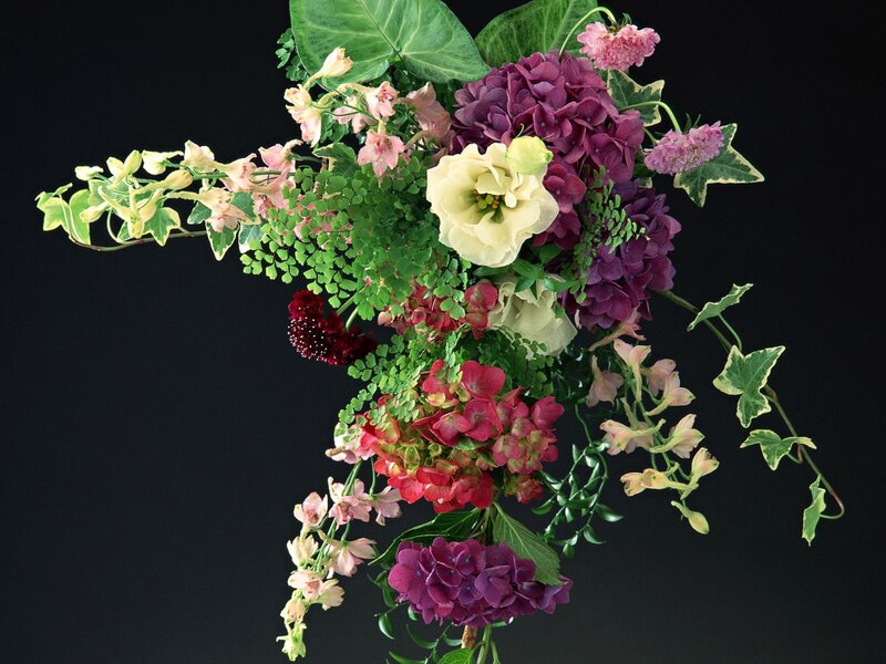 Colorful Flower Bouquet — Purple, Dramatic, Photograph, Flowers