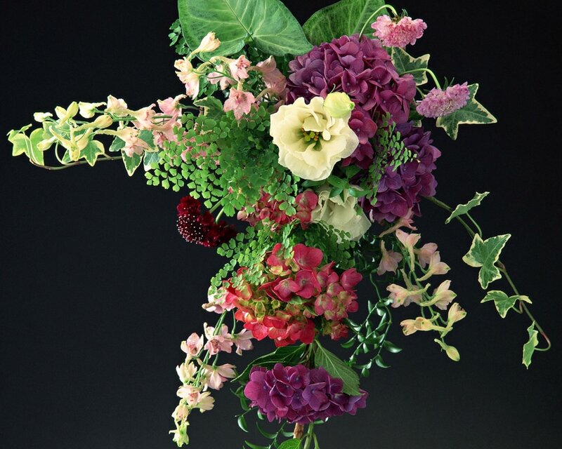 Colorful Flower Bouquet — Purple, Dramatic, Photograph