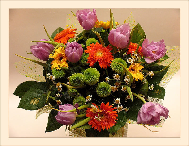 Colorful Flower Bouquet — Purple