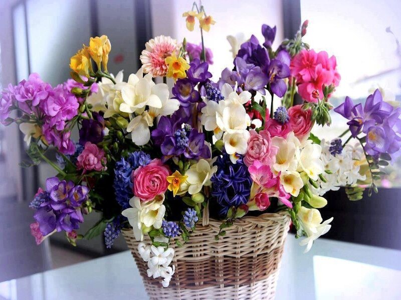 Colorful Flower Bouquet — Purple, Vibrant, Morning