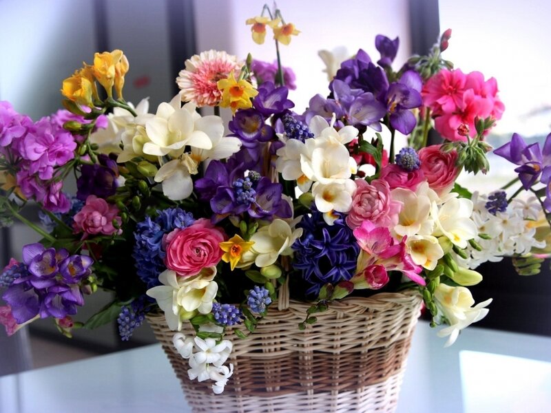 Colorful Flower Bouquet — Purple, Vibrant, Photograph, Basket