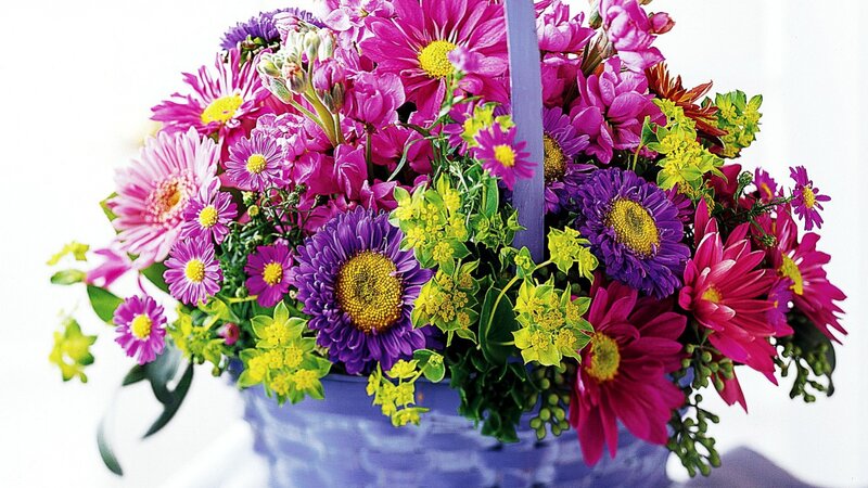 Colorful Flower Bouquet — Purple, Vibrant, Photograph, Flowers