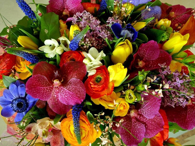 Colorful Flower Bouquet — Purple, Vibrant, Spring, Photograph, Orchids