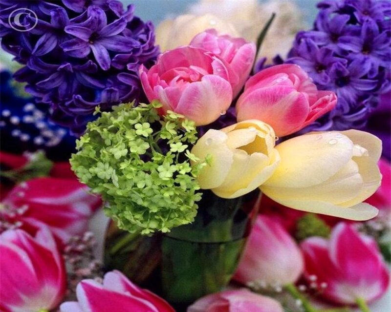 Colorful Flower Bouquet — Purple, Vibrant, Spring, Photograph, Tulips