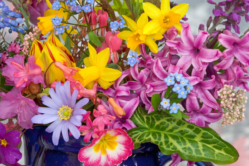 Colorful Flower Bouquet — Purple, Vibrant, Spring