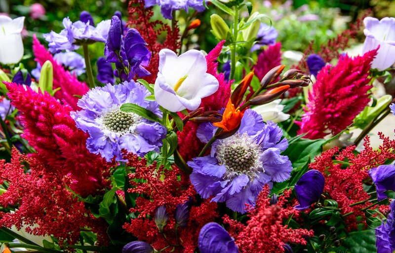 Colorful Flower Bouquet — Purple, Vibrant, Summer