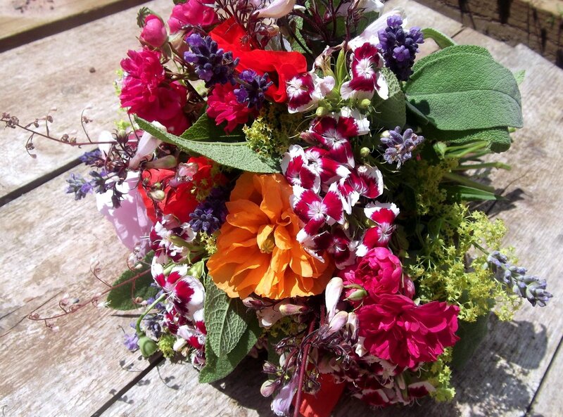 Colorful Flower Bouquet — Red, Bright, Afternoon