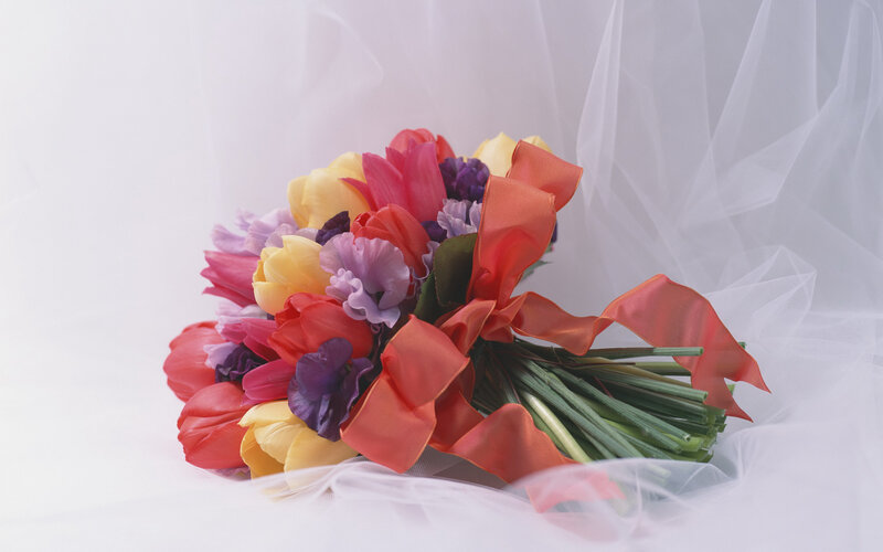 Colorful Flower Bouquet — Red, Calm, Photograph, Ribbon