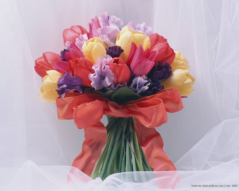 Colorful Flower Bouquet — Red, Calm