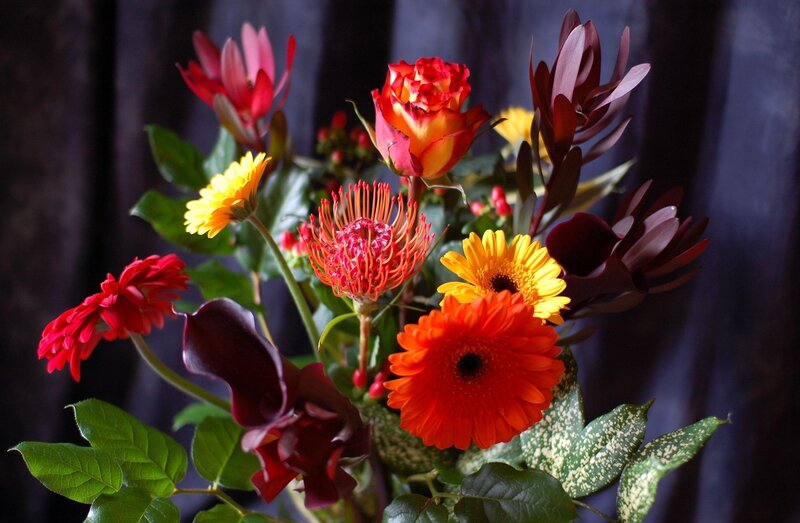 Colorful Flower Bouquet — Red, Dramatic, Photograph, Roses