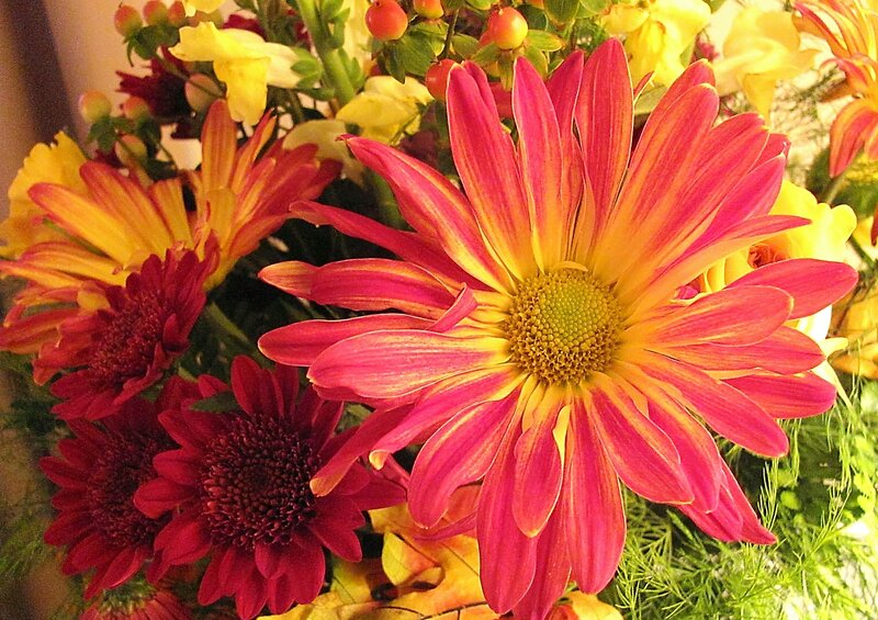 Colorful Flower Bouquet — Red, Vibrant, Autumn