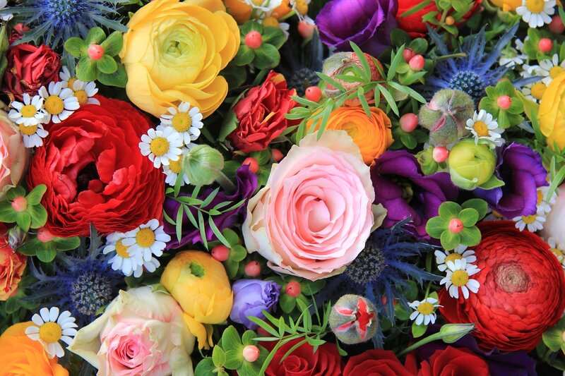 Colorful Flower Bouquet — Red, Vibrant, Photograph, Daisies, Roses, Thistles