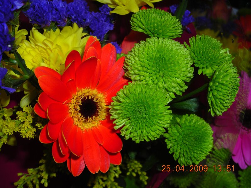 Colorful Flower Bouquet — Red, Vibrant, Photograph, Green Chrysanthemums