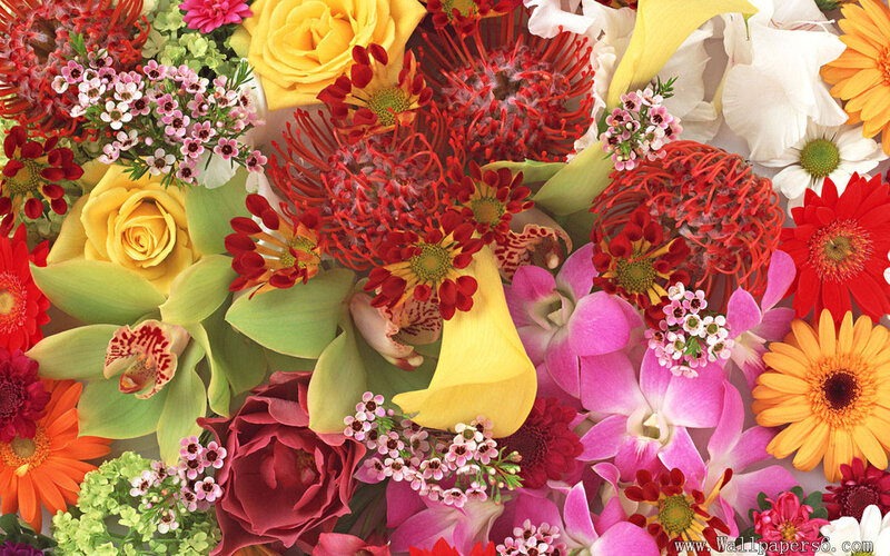 Colorful Flower Bouquet — Red, Vibrant, Photograph, Roses, Orchids