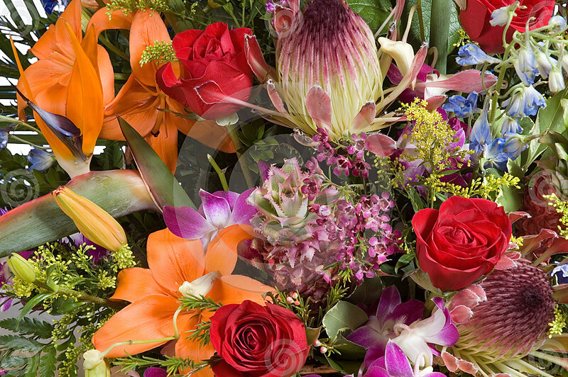 Colorful Flower Bouquet — Red, Vibrant, Photograph, Roses