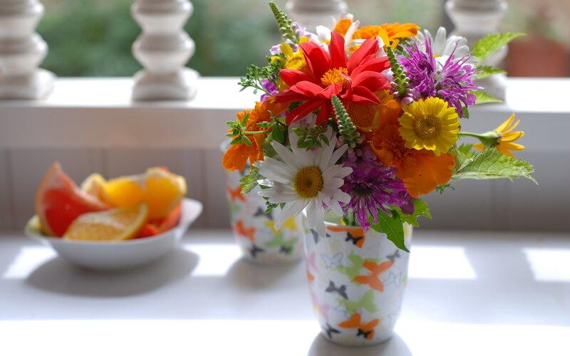 Colorful Flower Bouquet — White, Bright, Morning, Photograph, Fruit Bowl