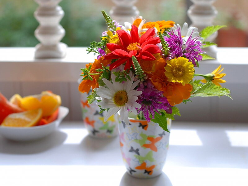 Colorful Flower Bouquet — White, Bright, Morning, Photograph