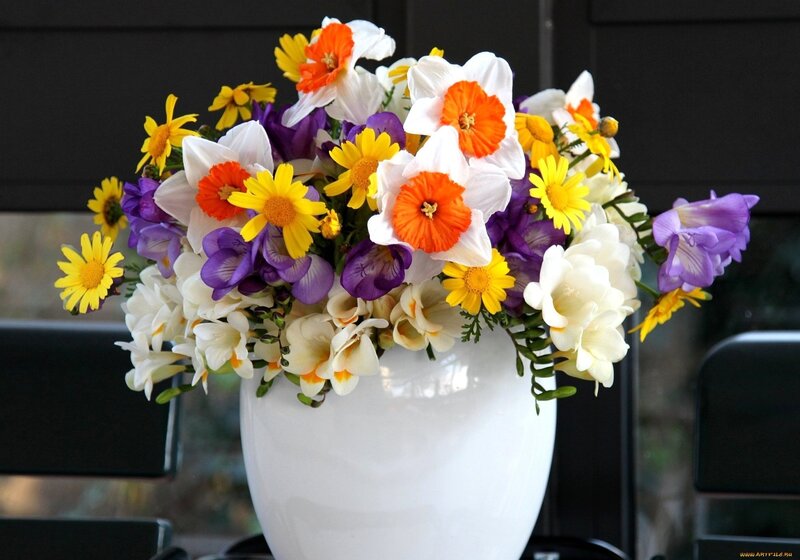 Colorful Flower Bouquet — White, Bright, Spring