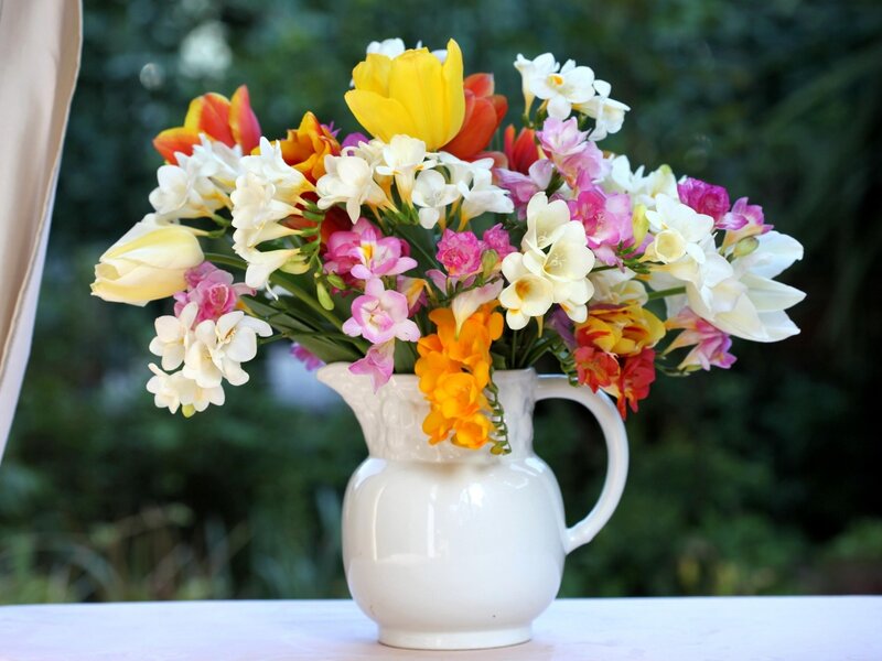 Colorful Flower Bouquet — White, Calm, Afternoon, Photograph