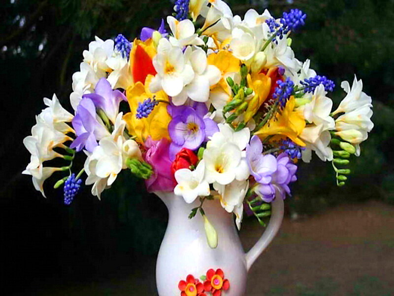 Colorful Flower Bouquet — White, Calm, Afternoon